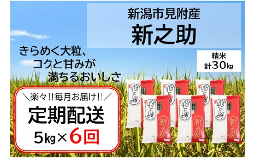 令和４年 数量限定・定期配送】 新潟県産 新之助 精米 30㎏（5㎏ × 6か