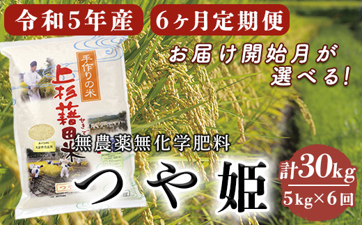 先行予約》【6ヶ月定期便 / 令和5年産 新米】 つや姫 5kg/月 計30kg 無