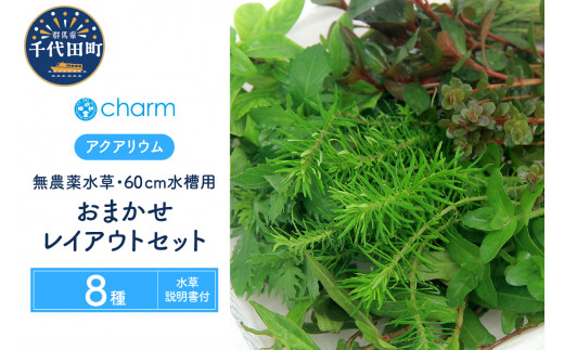 水草 おまかせ水上葉 レイアウトセット 60cm 水槽用 8種 無農薬 (1