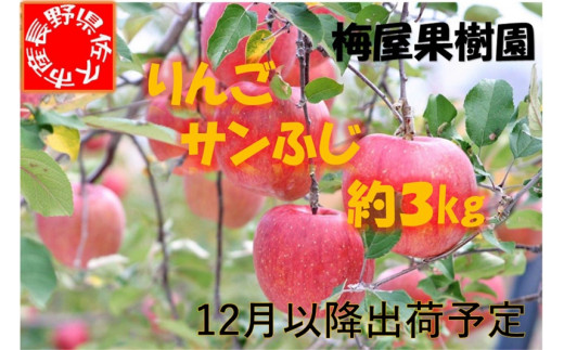 りんご サンふじ 大玉７～１２個 約３kg 長野県佐久市産 ＜出荷：12月 ...