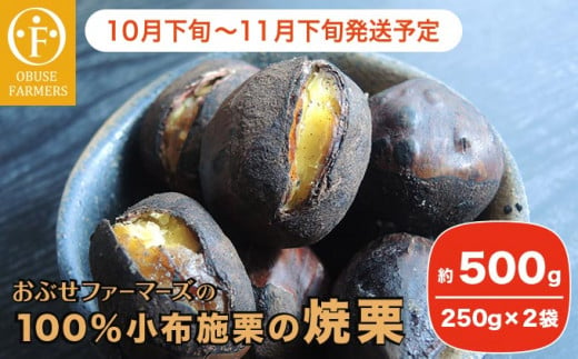 小布施栗（無燻蒸生栗） 約2kg ［小布施屋］ 2023年9月中旬～10月下旬