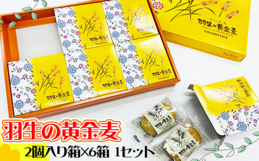 スイーツ 焼き菓子 さいたま羽生の黄金麦 ２個入り箱×６箱 １セット