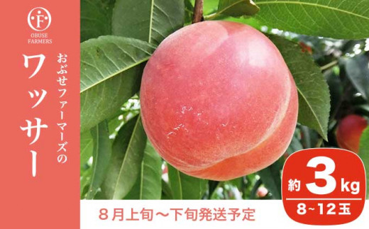 長野県産　ワッサー＆季節の桃　2種詰め合わせ　5kg  クール便で発送