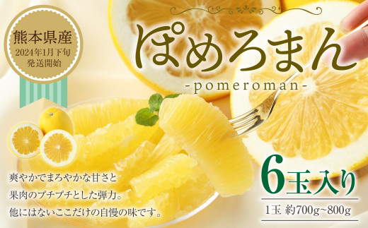 2024年1月発送開始】ぽめろまん 大玉 6個入り 柑橘類 - 熊本県