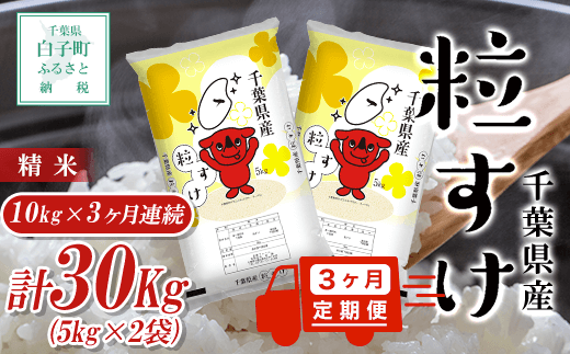 令和5年産 千葉県産ふさこがね＜精米＞10kg(5kg×2袋) ふるさと納税 お