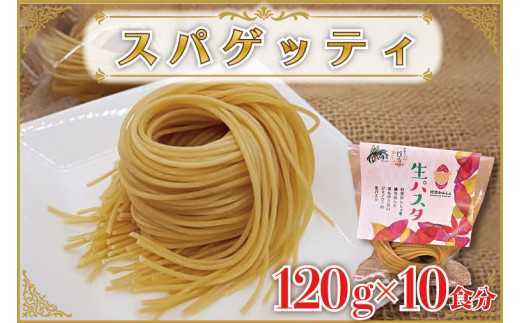 CJ-15 生パスタ （スパゲッティ10食分） - 茨城県行方市｜ふるさと