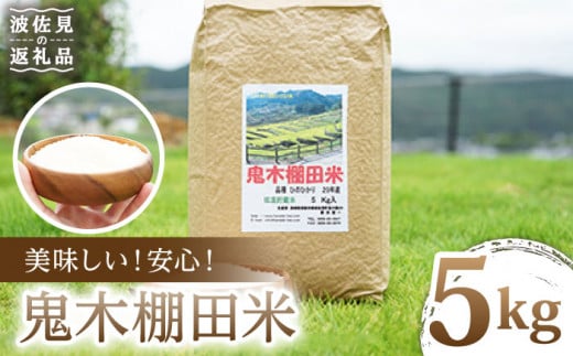 全3回定期便】麹味噌（2キロ）と波佐見町産米（9合）セット【原味噌