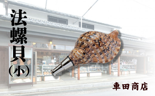 法螺貝（小）《車田商店》 - 奈良県吉野町｜ふるさとチョイス