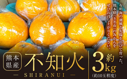 2024年2月発送開始】熊本県産 ネーブルオレンジ 約5kg オレンジ 果物