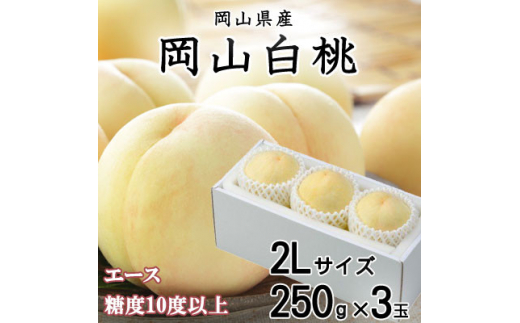 【岡山県津山市】<先行受付>岡山白桃 エース 3玉×250g(2Lサイズ) 岡山県産_桃 白桃 もも 甘い 果物 フルーツ 岡山県 津山市【1305725】