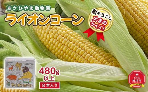 【先行予約】象もろこし（ライオンコーン）　大きいサイズのトウモロコシ　480ｇ以上8本入り(2024年8月下旬～発送開始予定)