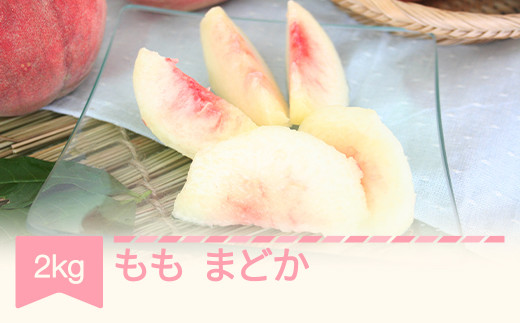 yR`Rszys\z  ܂ǂ 2kg ߘa8NY 2026NY R`Y ʕ  Eւ̔zs mm-momdx2