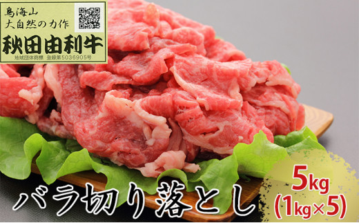 【秋田県にかほ市】秋田由利牛 バラ切り落とし 5kg(1kg×5パック)