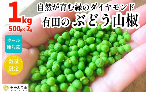 令和５年　生山椒　実山椒　ぶどう山椒　和歌山県産　1㎏　No8