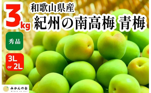 青梅 南高梅 3kg 秀品 3Lまたは2Lサイズ 和歌山県産 A品 梅酒作り用 梅ジュース作り用