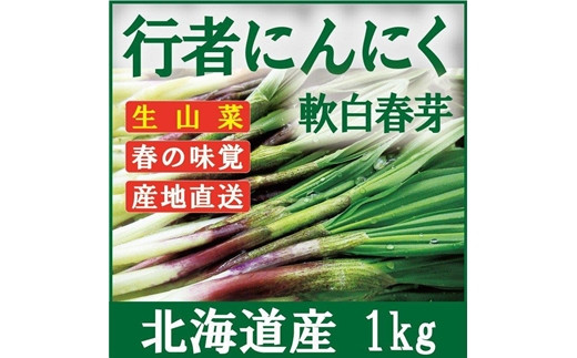 令和5年分 行者にんにく芽(生)1kg≪数量限定・4/13締め切り≫ 【09025