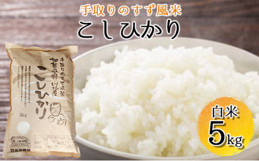 ふるさと納税 [No.5528-0007]手取りのすず風米こしひかり　玄米5kg