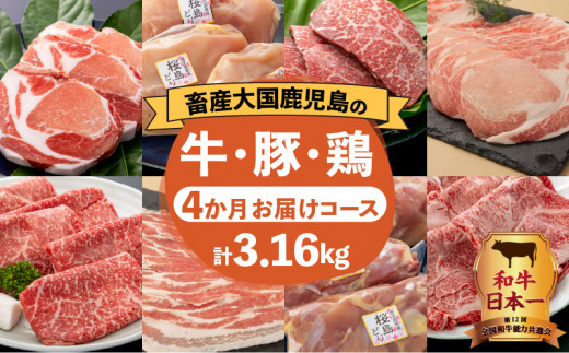 岩元精肉店】鹿児島県産精肉 厳選4か月お届けコース K045-T04 - 鹿児島