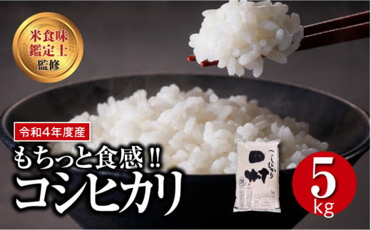 令和4年産 】 コシヒカリ 5kg ギフト 贅沢 のし対応 １週間以内発送