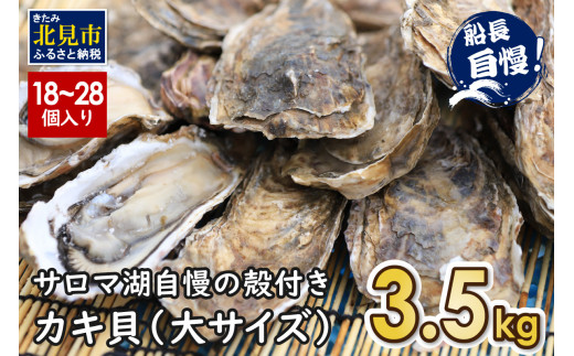 予約】サロマ湖自慢の殻付きカキ貝 大 3.5kg詰め ( 牡蠣 かき 濃厚