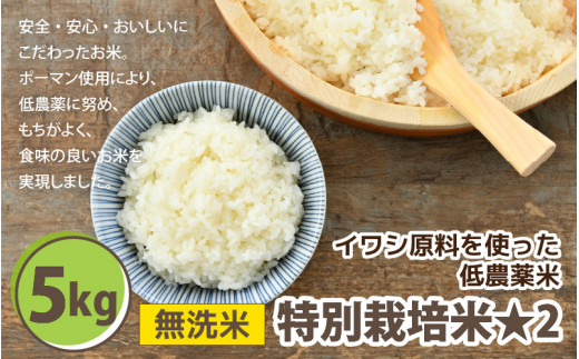 【令和5年産】 特別栽培米 コシヒカリ 無洗米 5kg 低農薬 / 北陸 福井県産 あわら市 ブランド米 白米 お米 コメ 特栽米