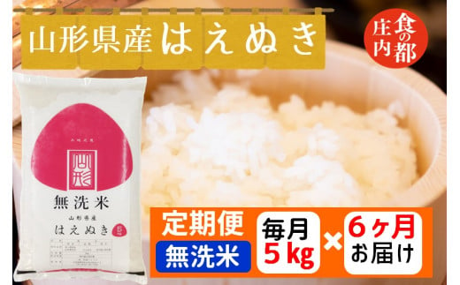 食の都庄内　【定期便6回】無洗米　山形県産はえぬき5kg×6回　計30kg