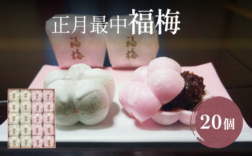 yxRXszَq܂̎Œ ~ 20 xR Xs ~ Œ aَq N  َq