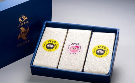 yOdɉszʍ͔| ɉĐHׂא^pbN Zbg 6i900gj×3