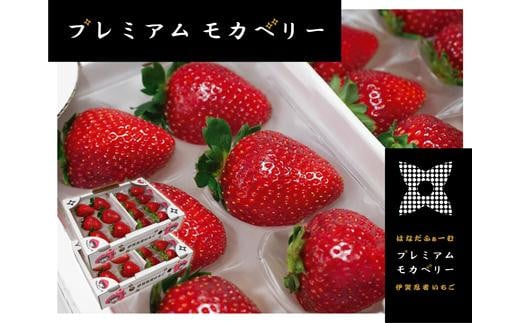 yOdɉszɉE҂ v~AJx[ 4pbNZbgi270g×4j