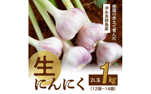 先行予約】2L玉 1kg 農家厳選！南国の赤土で育んだ 沖永良部島産 生