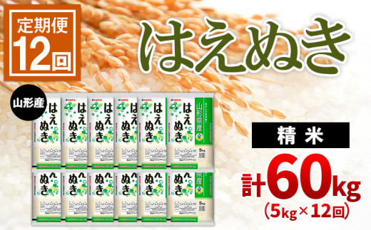 定期便12回】山形産はえぬき 精米5kg×12ヶ月(頒布会)計60kg FZ22-019