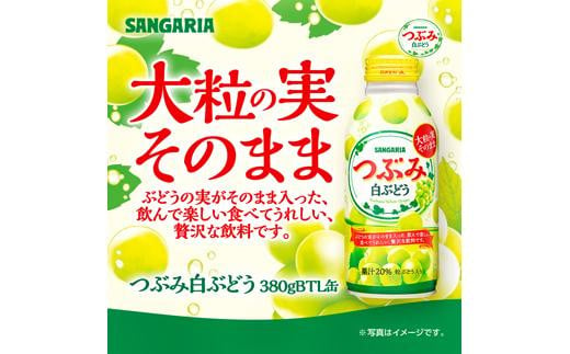 サンガリア つぶみ白ぶどう 380g×24本 - 三重県伊賀市｜ふるさとチョイス - ふるさと納税サイト