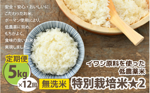 令和5年産】《定期便12回》特別栽培米 コシヒカリ 5kg × 12回 （計60kg