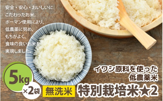 令和5年産】 特別栽培米 コシヒカリ 無洗米 10kg （5kg×2袋） 低農薬