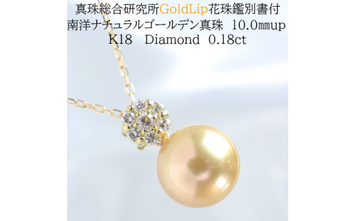 1239 【真珠総合研究所GoldLip花珠鑑別書付】K18 南洋ナチュラル