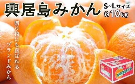 2025年11月から発送】 興居島 みかん S～L サイズ 約10kg | 愛媛