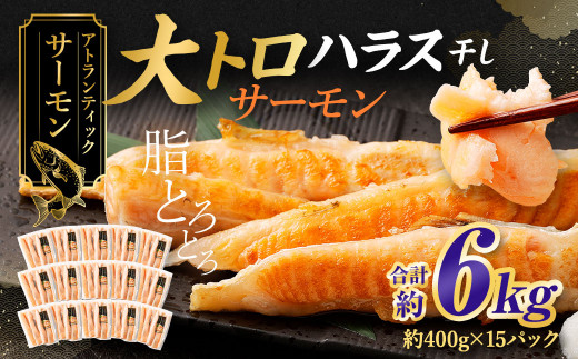 y錧_szAgeBbNT[ gT[nX 6kg T[ nX   銱 