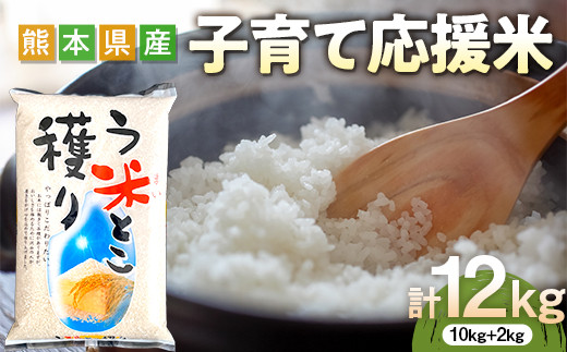 HaveaJunjou米 ブレンド米！【Have a Junjou Rice day！ 30kg 】 - 米