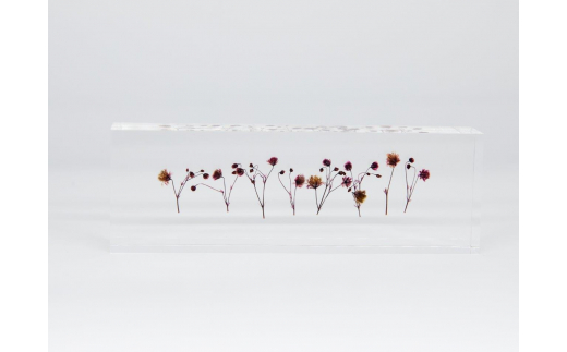 y{͓szԂ߂ANu JX~\E sN f-ofjet CeA IuWF