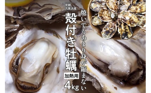 京都・久美浜産 殻付き牡蠣 4kg（40個前後）【加熱用】 牡蠣ナイフ付