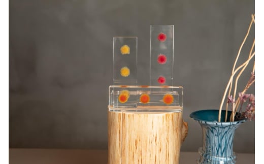 y{͓szԂ߂ANu wNT 3F炨Iт f-ofjet CeA IuWF