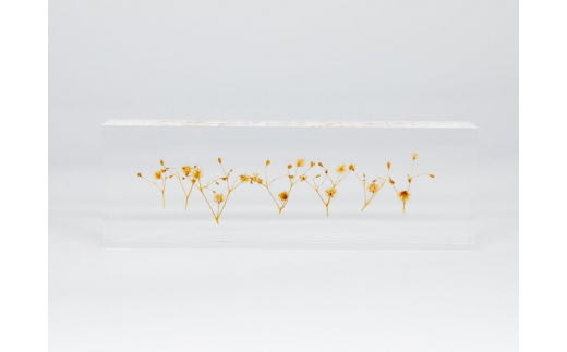 y{͓szԂ߂ANu JX~\E IW f-ofjet CeA IuWF