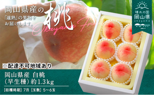 ふるさと納税 おかやまの桃 約1.8kg（7〜9玉） 岡山県井原市 ふるさと納税 ご家庭用 おかやまの桃 約1.8kg(7〜9玉) 岡山