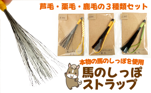 馬のしっぽの毛 ストラップ 3種類 栗毛 鹿毛 芦毛 【馬っこパーク