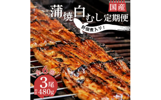 【価格改定予定】定期便 年 6回 うなぎ 鰻 蒲焼 国産 2尾 白むし 1尾 480g 肝 佃煮 1袋 セット 真空 小分け 丑の日 沼津 うなよし