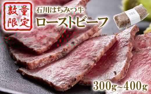 yΐ쒬zyʌzΐ݂͂[Xgr[ti300`400jy13002z