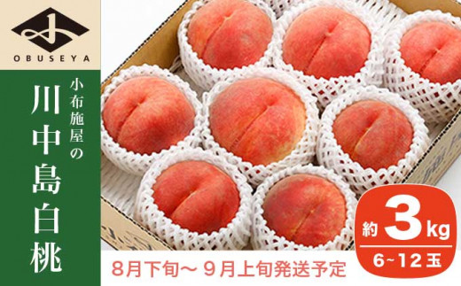 川中島白桃 約3kg 6～12玉 ［小布施屋］ 2023年8月下旬～9月上旬発送