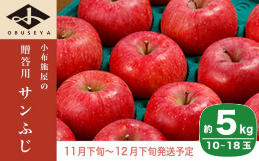 サンふじ 贈答用 約5kg 10～18玉 ［小布施屋］ 2023年11月下旬～12月下旬発送 りんご 林檎 リンゴ 果物 フルーツ ［A-209］