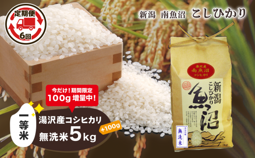 【6ヶ月定期便】令和5年産【湯沢産コシヒカリ】＜無洗米＞5kg 精米したてのお米をお届け 【期間限定 100g増量中！】