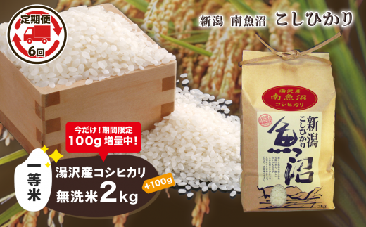 半額】 【ふるさと納税】 令和4年産【無洗米2kg/6ヶ月定期便】湯沢産